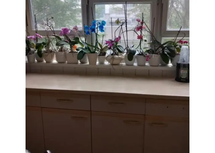 Room In Friendly Apartment Central London